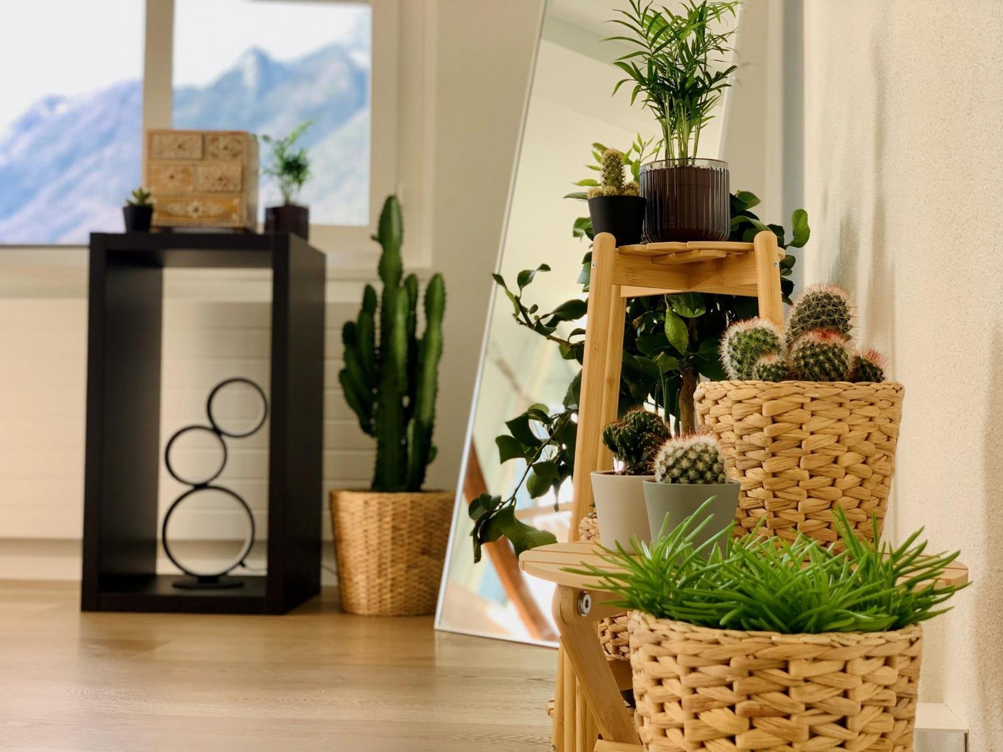 Eva O Wellnessoasis O Montainview O Pizzaoven O Leilighet Ingenbohl Eksteriør bilde