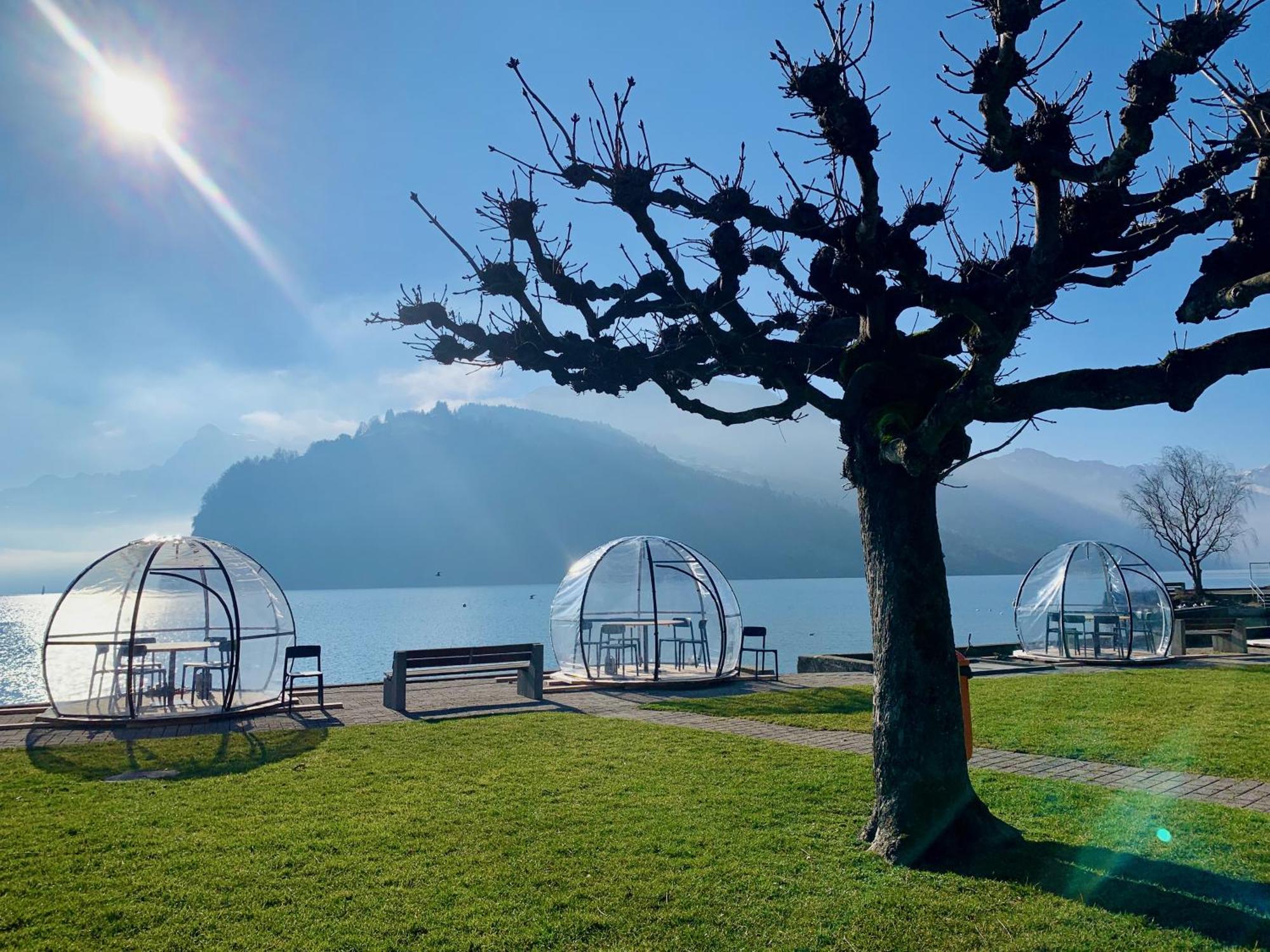 Eva O Wellnessoasis O Montainview O Pizzaoven O Leilighet Ingenbohl Eksteriør bilde
